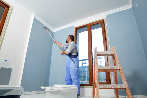 Best Basement Mold Removal  in North Augusta, SC