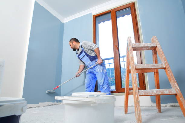  North Augusta, SC Mold Removal Pros