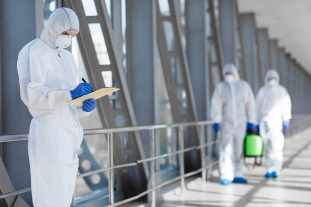 Best Attic Mold Removal  in North Augusta, SC