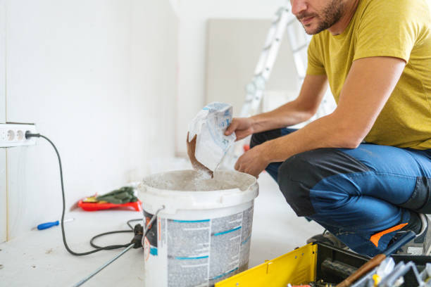 Best Mold Odor Removal Services  in North Augusta, SC