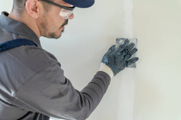 Best Residential Mold Inspection & Testing  in North Augusta, SC