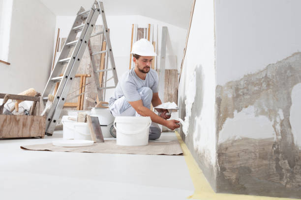 Best Industrial Mold Remediation  in North Augusta, SC