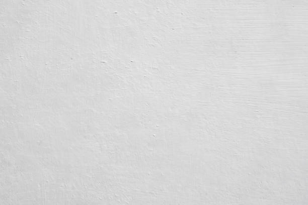 Best Mold Remediation for Healthcare Facilities  in North Augusta, SC