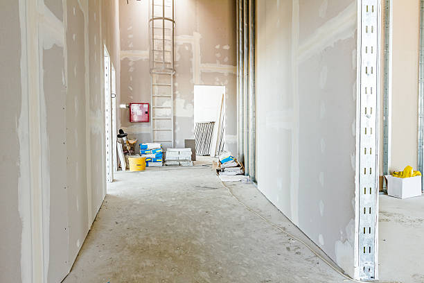 Best Black Mold Removal  in North Augusta, SC