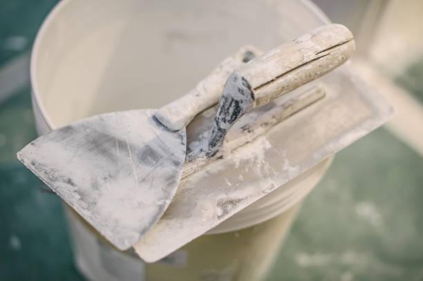 Best Emergency Mold Remediation  in North Augusta, SC